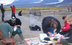 International students help sampling barnacle geese (Spitsbergen 2005)